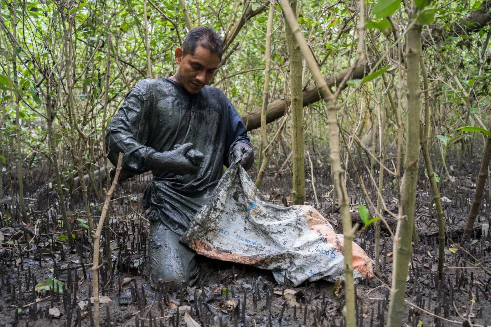 Trapped in the Tide of Organized Crime (Hakai&nbsp;Magazine)